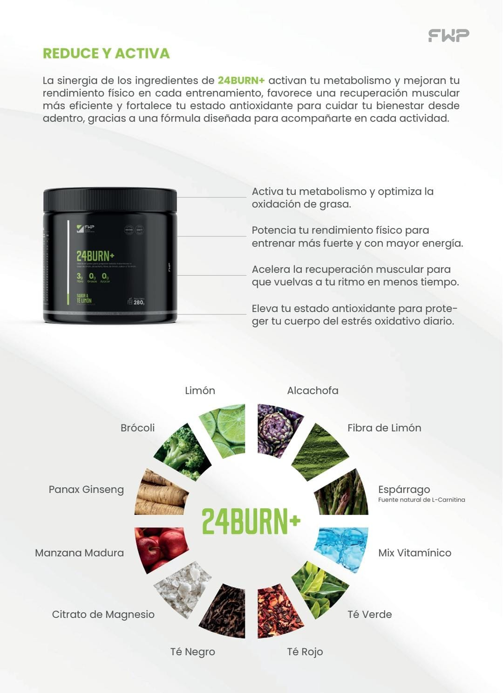 24BURN+ rueda de ingredientes activos
