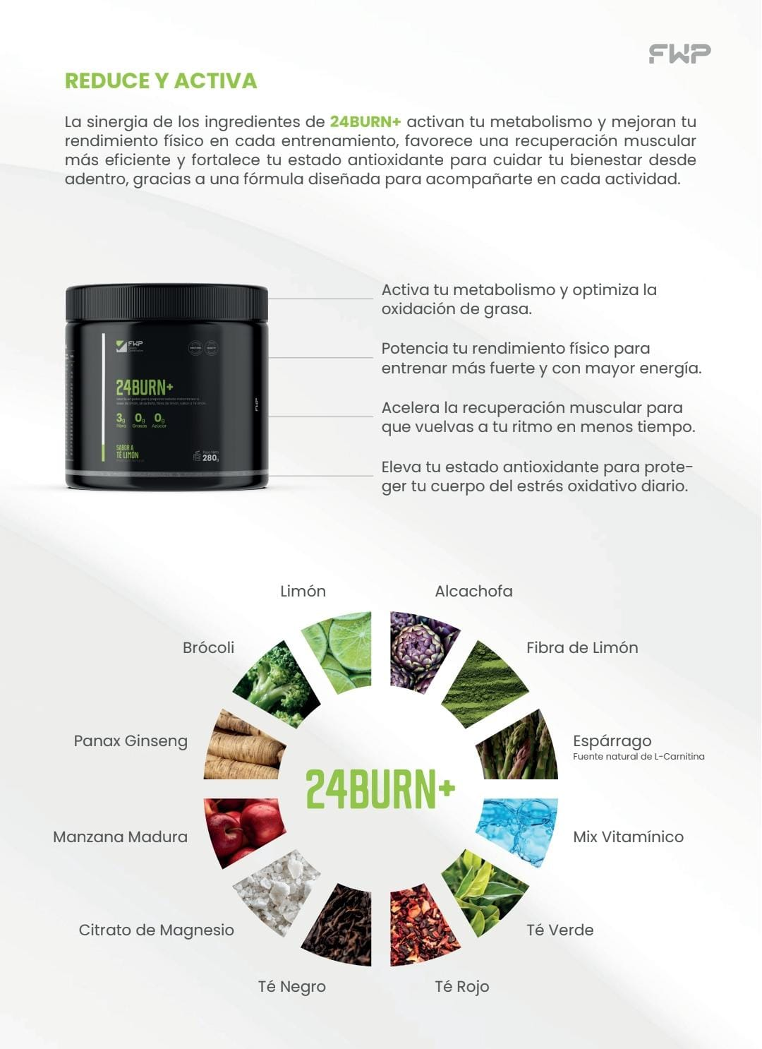 24BURN+ rueda de ingredientes activos