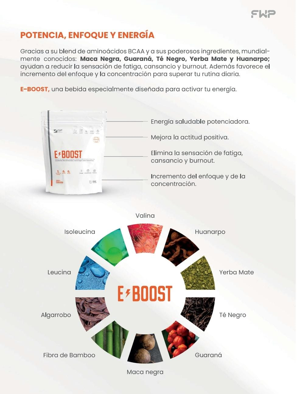 E-BOOST ingredientes activos – rueda de ingredientes